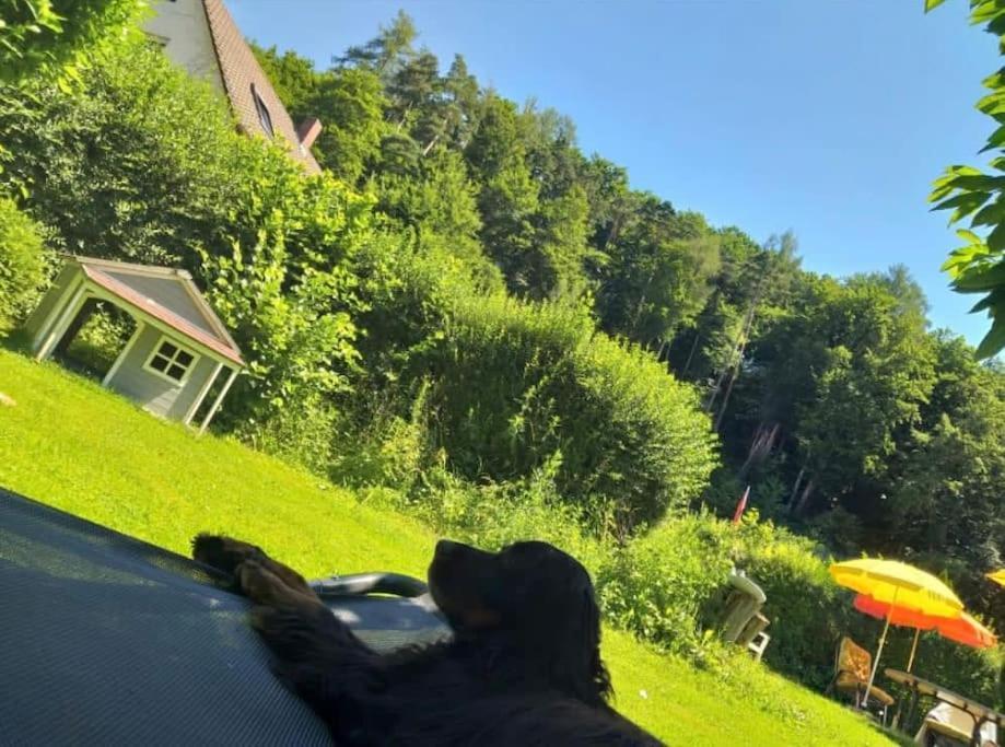 Ferienwohnung - Gruene Oase Stockach Luaran gambar